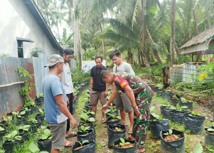 Dukung Hanpangan, Babinsa Karimunting Beri Pelatihan Tanam Sayur Kepada Warga Binaan