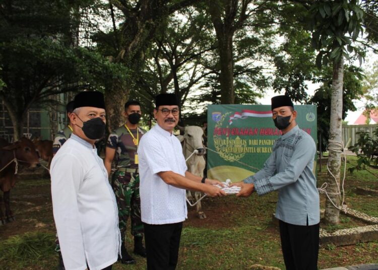 Pangdam Xll/Tpr Serahkan Hewan Kurban