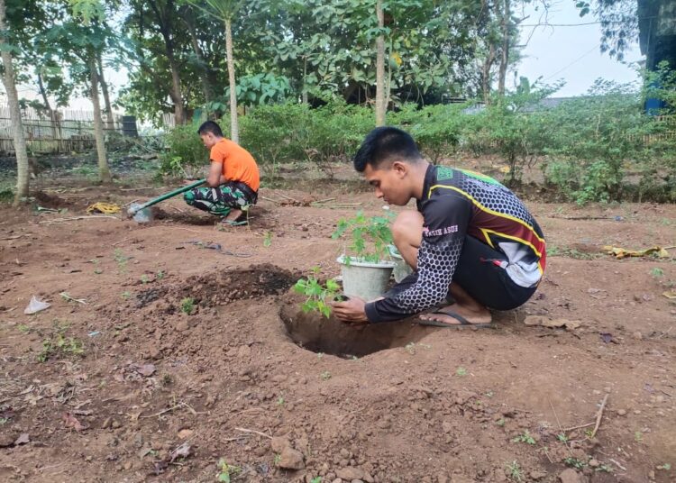 Garap Lahan Kritis, Ekosistem Terjaga, Ekonomi Meningkat