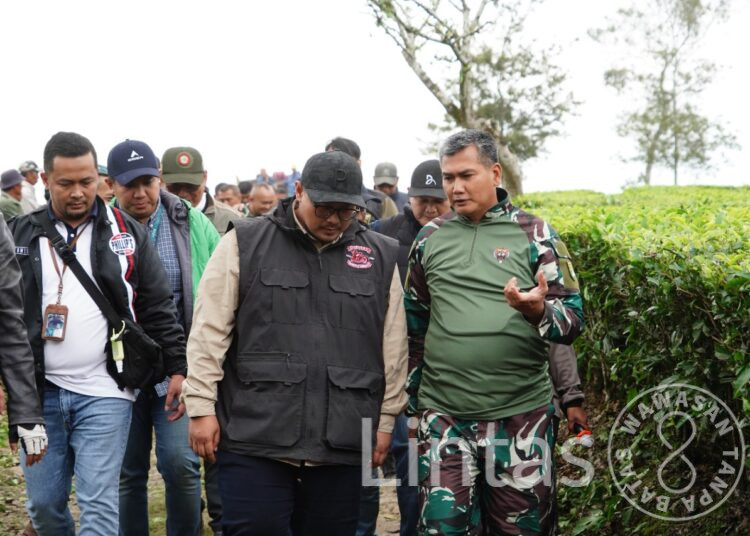 Bios 44 DC Inovasi Pangdam III/Siliwangi Menyasar Puluhan Hektar Lahan PTPN VIII