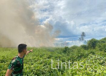 Gerak Cepat Satgas Yon Arhanud 3/YBY Padamkan Api di Lahan Seluas 8 Hektar