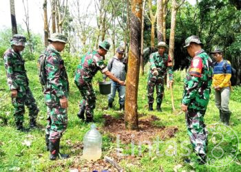 Pangdam III/Siliwangi Tinjau Hasil Uji Produktifitas Karet Di PTPN VIII Miramare Garut Selatan Menggunakan Bios 44 DC