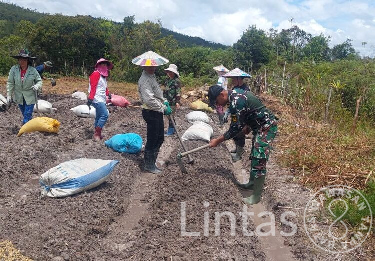 Satgas Pamtas Yonarmed 5/105 Tarik/PG Kodam III/Slw Berikan Pendampingan Ketahanan Pangan Di Lembudud