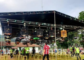 Peringati HUT Ke-77 TNI, Kodim 0610/Smd Gandeng Cv Ebod Gelar Festival & Kompetisi Burung Berkicau