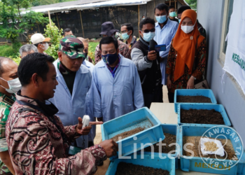 Bios 44 DC Atasi Pencemaran Lingkungan, Solusi Alternatif Kelangkaan Pupuk Dan Tingkatkan Ekonomi