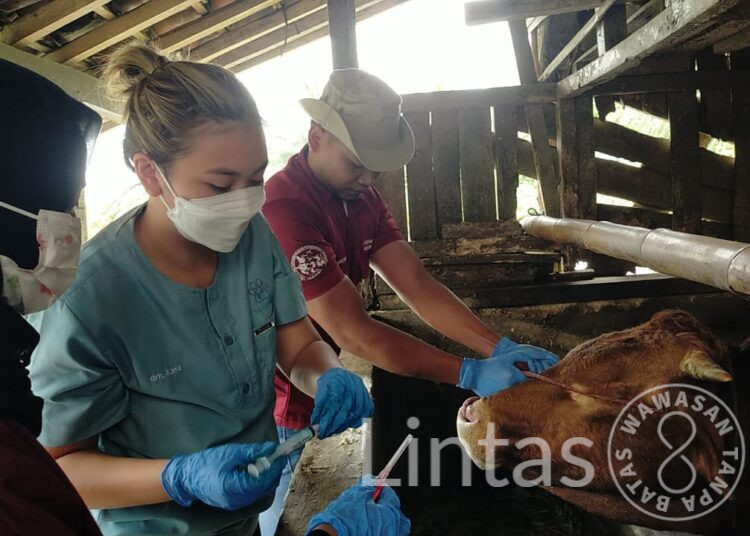 Bantu Pemerintah Atasi PMK di Jawa Barat, Kodam III/Slw Gandeng Tim Mobile Vet FKH UNAIR Surabaya