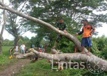 Binter Babinsa Koramil 0602-01/Serang Kota, Bersihkan Rumput Liar Sepanjang Jalan Irigasi