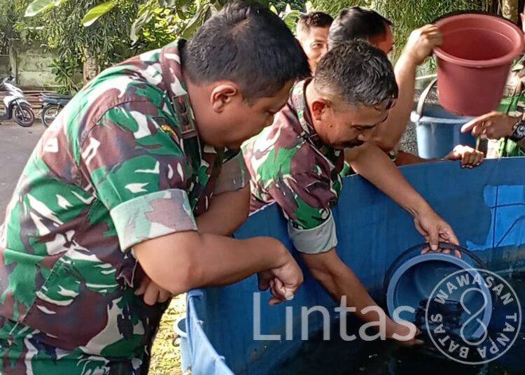 Dukung Program Ketahanan Pangan, Kodim 0602/Serang Lakukan Budidaya Lele Bioflok dengan Aplikasi Bios 44