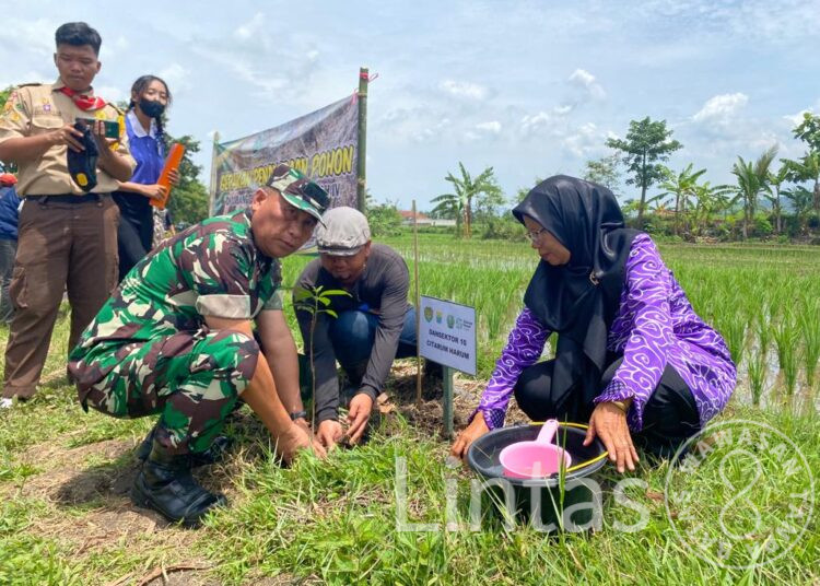 Sektor 10 Citarum Harum Bersama Yayasan Buddha Tzu Chi Tanam 500 Pohon Produktif
