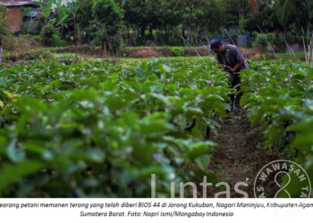 Inovasi Teknologi untuk Pengelolaan Lingkungan Indonesia