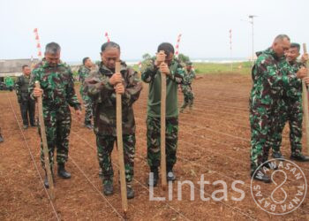 Maung Siliwangi Galakkan Tanam Padi Gogo Untuk Ketahanan Pangan