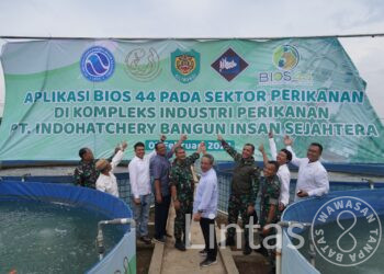 BIOS 44 DC Diaplikasikan Untuk Budidaya Ikan Air Tawar Di PT. IBIS