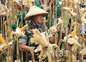 Dandim Sumedang : Ketahanan Pangan Berpengaruh Penting Terhadap Keamanan di Wilayah Sumedang