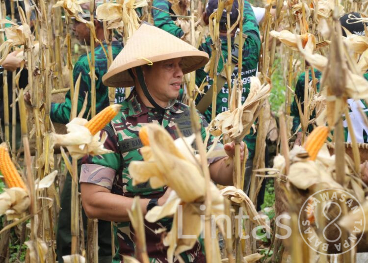 Dandim Sumedang : Ketahanan Pangan Berpengaruh Penting Terhadap Keamanan di Wilayah Sumedang