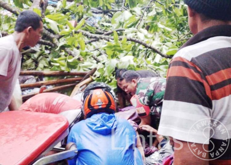 Babinsa Karangkamulyan Koramil Cijeungjing Kodim Ciamis, Atasi Pohon Tumbang