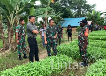 Danrem 174 Kolonel Agus Tinjau Kebun Pisang Dan Kebun sayur Binaan Babinsa Di Timika