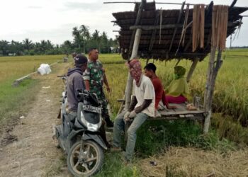 Babinsa Koramil 04 Peureulak, Laksanakan Komsos di Gubuk Petani