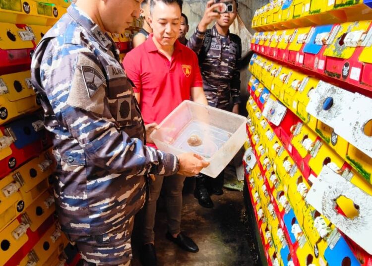 KBN TNI AL Akan Kembangkan Budi Daya Kepiting Mangrove dengan Vertical Crab House