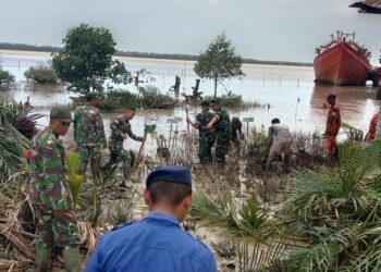 Antisipasi Abrasi Pantai, Pasi Ter Kodim 1208/Sambas Ikuti Penanaman Pohon Mangrove
