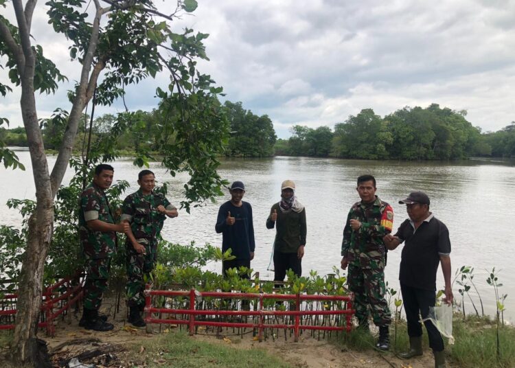 Peduli Dengan Lingkungan , Kodim 0421/Lampung Selatan Gelar Program Penanaman mangrove