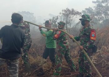 Kerahkan Peralatan Yang Ada, Tim Karhutla Mempawah Padamkan Titik Api