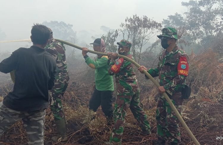 Kerahkan Peralatan Yang Ada, Tim Karhutla Mempawah Padamkan Titik Api