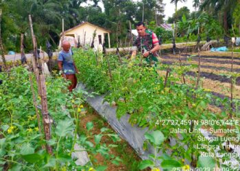 Di Desa Sungai Lheung : Babinsa Ajak Petani Tingkatkan Swasembada Pangan