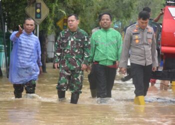 Gerak Cepat TNI Polri dan Pemerintah Daerah Pantau Banjir Serta Berikan Bantuan Kemasyarakat Kab. HSS