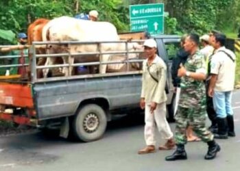 Sinergitas 3 Pilar Koramil 0811/11 Kenduruan Lakukan Pemeriksaan dan Penyekatan Hewan Ternak