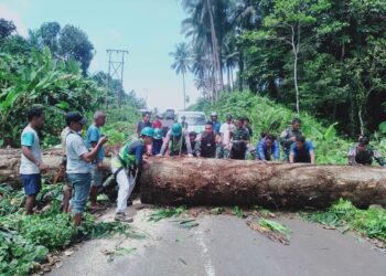 Urai Kemacetan Akibat Pohon Tumbang di Tengah Jalan, Danki SSK 4 Dumdum Satgas Pamrahwan Yonarhanud 3/YBY Bantu Buka Jalan
