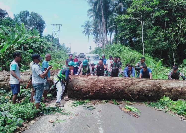 Urai Kemacetan Akibat Pohon Tumbang di Tengah Jalan, Danki SSK 4 Dumdum Satgas Pamrahwan Yonarhanud 3/YBY Bantu Buka Jalan