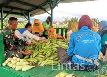 Panen Jagung, Koramil 0624-01/Rancaekek Santuni Anak Yatim