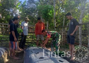 Wujudkan Masyarakat Produktif, Babinsa Koramil 08/Spu Ajak Warga Binaan Budidaya Tanaman Cabai