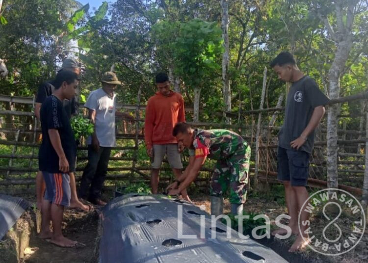 Wujudkan Masyarakat Produktif, Babinsa Koramil 08/Spu Ajak Warga Binaan Budidaya Tanaman Cabai