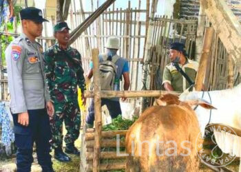 Tak Hanya Sinergitas, Babinsa Juga Turut Menyukseskan Program Pemerintah Di Wilayah Kenduruan Tuban