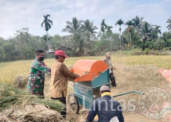 Di hari Yang Cerah,Babinsa Koramil 19 /Idm Bantu Petani Merontokkan Padi Di Desa Binaan