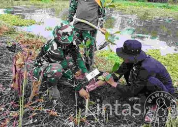 Lestarikan Alam Tuban, Koramil 0811/08 Widang Tanam Pohon Bersama Masyarakat