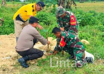 Penghijauan Mewujudkan Manfaat Bagi Kehidupan Masyarakat Kerek Tuban