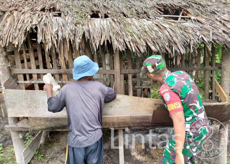 Serda Ahmad Imam,Babinsa Koramil 21/ Madat Sambangi Peternak Kambing Guna Berbagi Ilmu