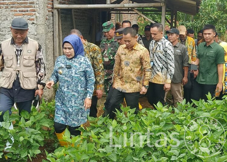 Kodim 0602/Serang Perkuat Ketahanan Pangan Komoditas Kedelai