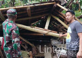 Sigap, Babinsa Koramil 0112/Jiput Datangi Rumah Warga Yang Tertimpa Pohon
