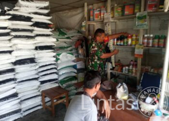 Babinsa Kopda Rico Fauland Fadli Pantau Ketersediaan Pupuk Dan Obat Obatan Pertanian Desa Birem Keude