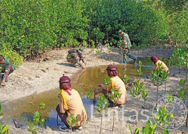 Lestarikan Alam Dan Hijaukan Pantai, Kodim 0421/LS Tanam Mangrove