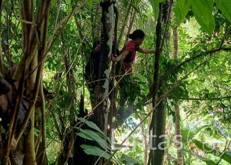 Aksi Heroik Prada Refky Dan Prada Irfan Anggota Satgas Pamrahwan Yonarhanud 3/YBY Selamatkan Percobaan Bunuh Diri Seorang Ibu Di Gulo