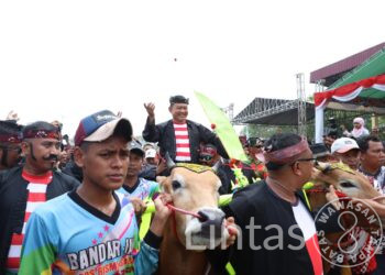 Kasad Buka dan Saksikan Lomba Karapan Sapi Piala Kasad Tahun 2023