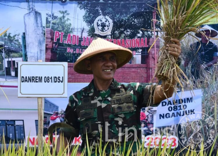 Panen Raya di Nganjuk, Danrem 081/DSJ Apresiasi Sinergitas dalam Memperkuat Ketahanan Pangan