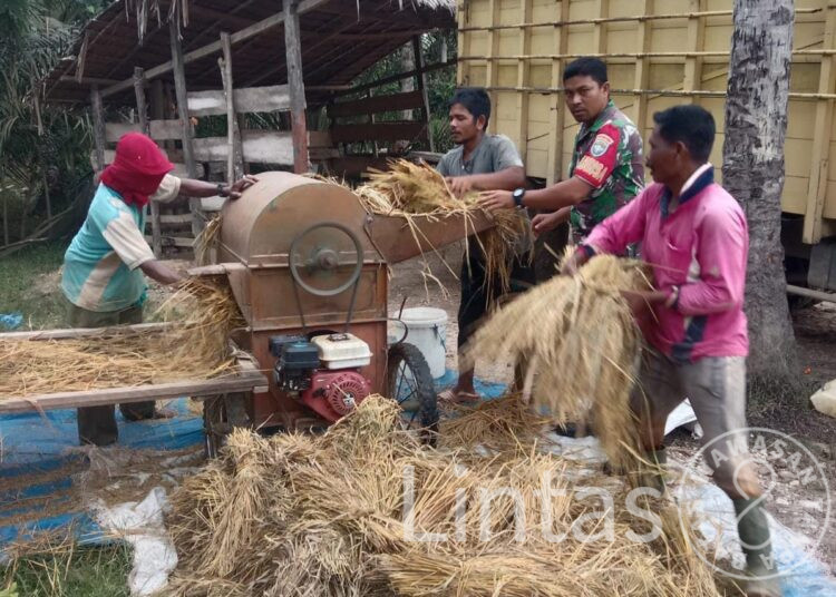 Bulan Puasa Tak Surutkan Semangat Babinsa Lakukan pendampingan Kepada Petani
