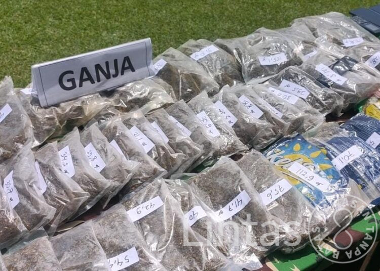 Sinergi Aparat Gabungan Gagalkan Penyelundupan 5 Kg Ganja Asal PNG
