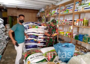 Serda Ahmad Imam Turun Ke Wilayah Pastikan Stok Pupuk Subsidi dan Obat Pertanian Tercukupi Untuk Petani