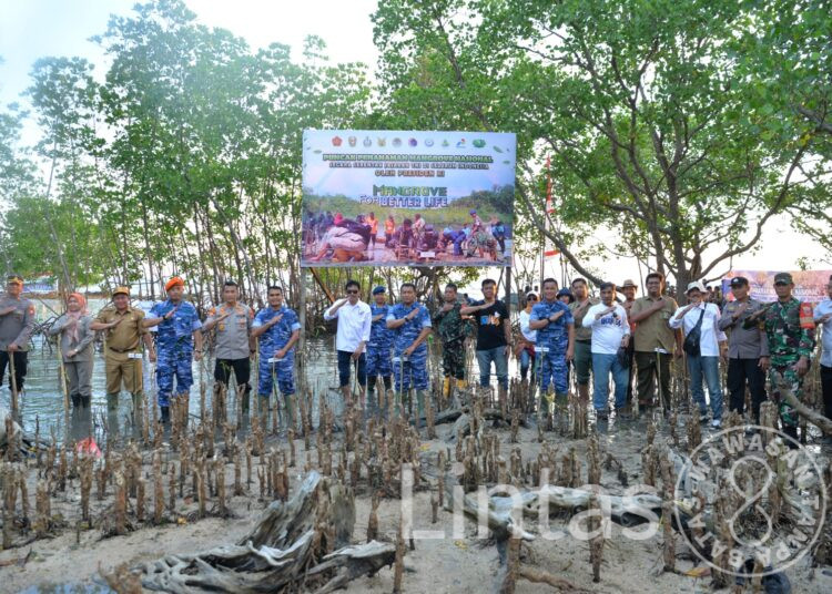 Lanud Sultan Hasanuddin Tanam 4000 Bibit Mangrove